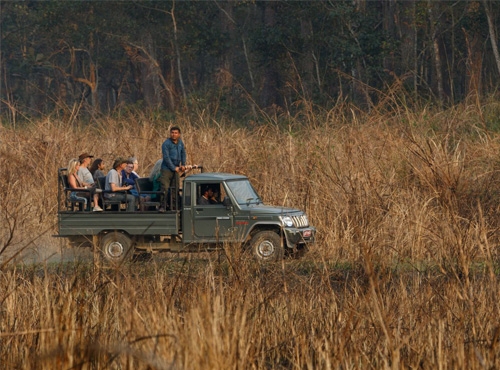 Jungle Safari in Nepal