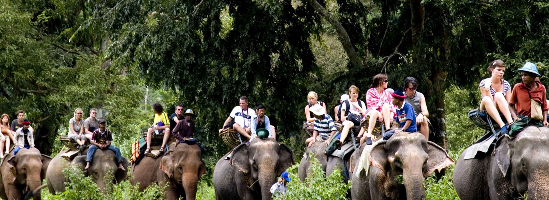 Bardiya national park (3 Nights/ 4 Days)