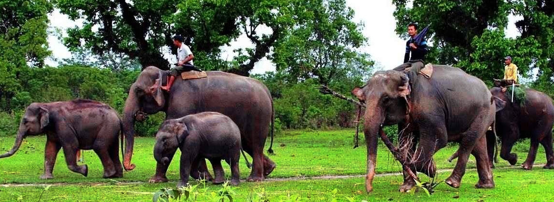 Chitwan National Park (3 days 2 nights package)