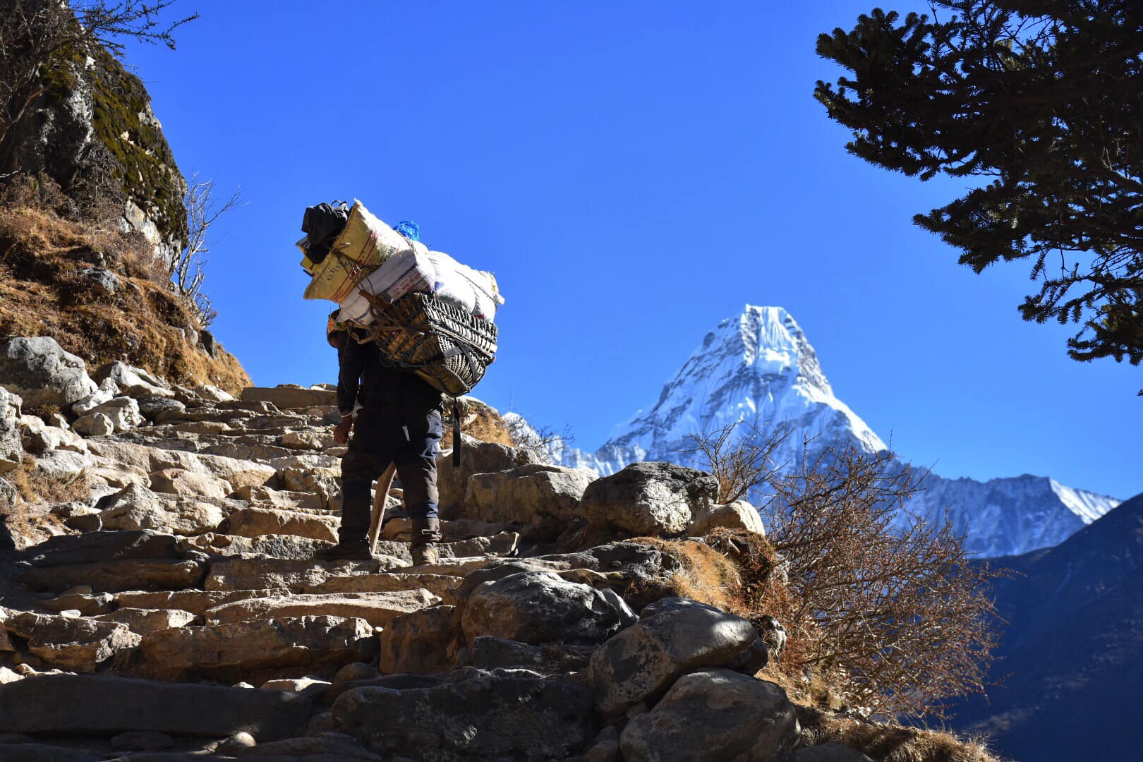 Porters in Everest Base Camp Trek
