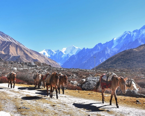  Trekking In Nepal Min