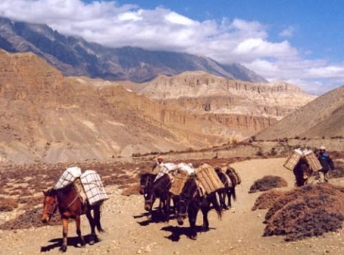 Lower Mustang Trekking